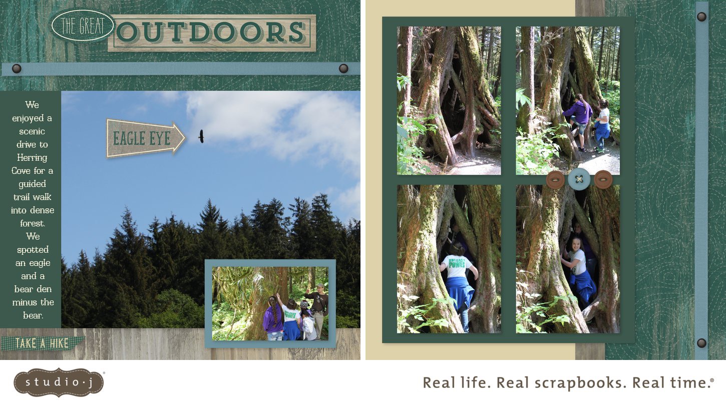 Rainforest Tour