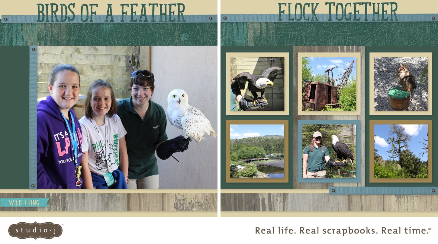 Birds of Prey