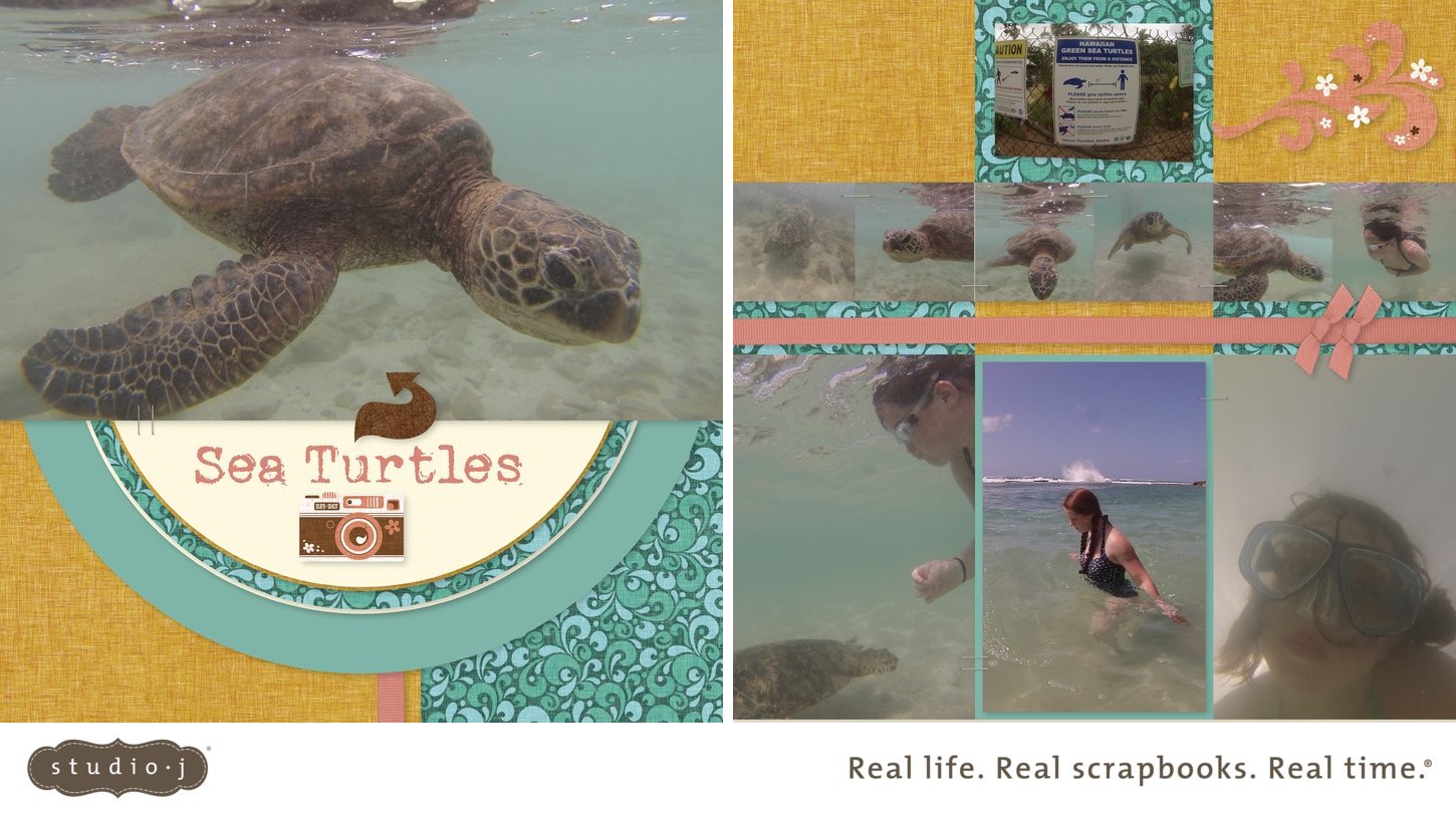 Sea Turtles
