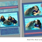 cabo_dolphins.jpg